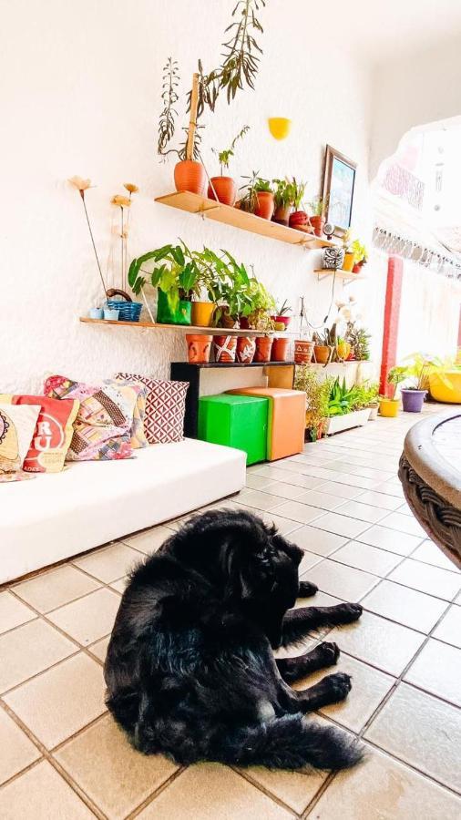 Zili Pernambuco - Hostel Pousada Recife Exteriör bild